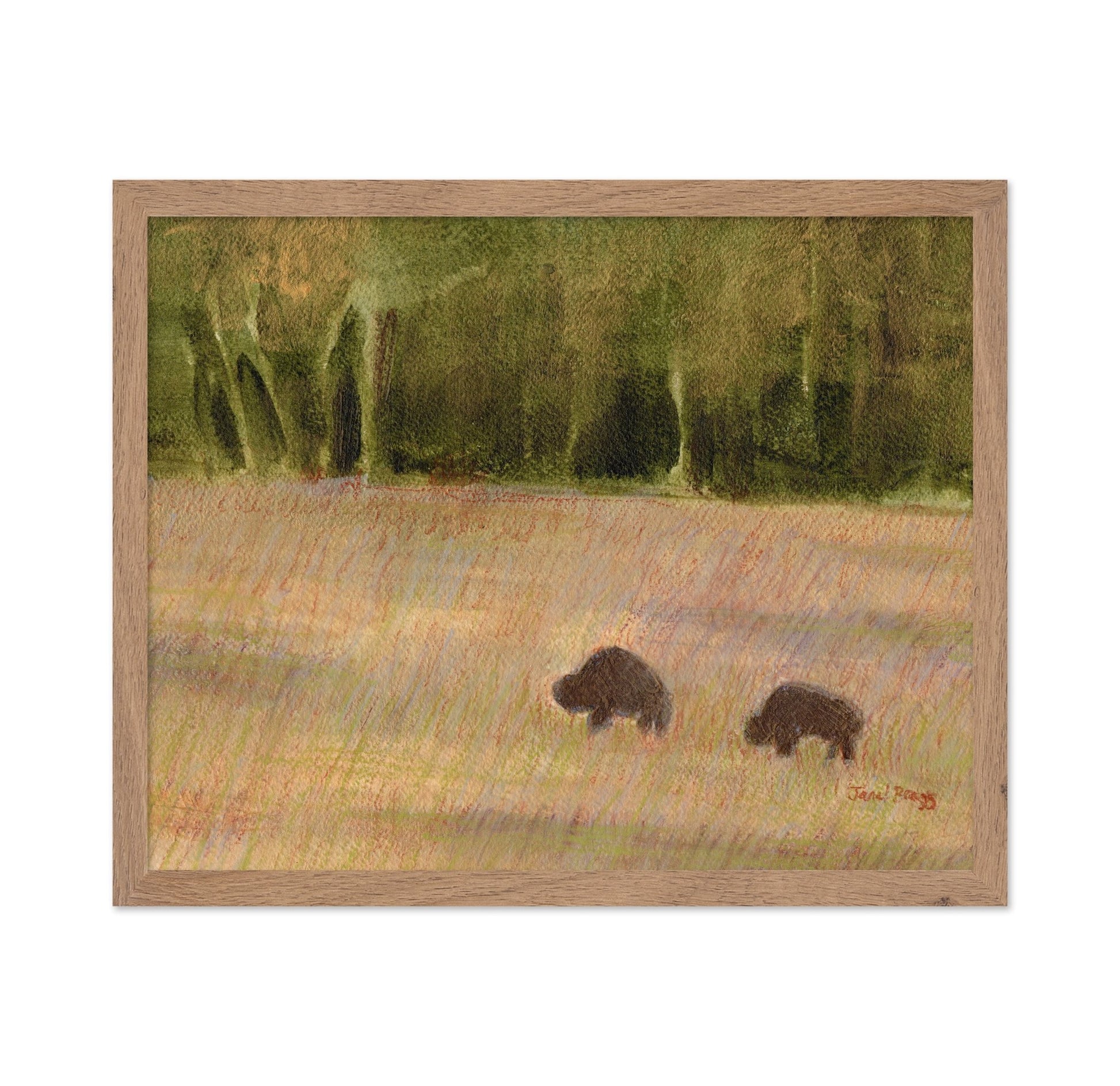 Buffalo Field Pair