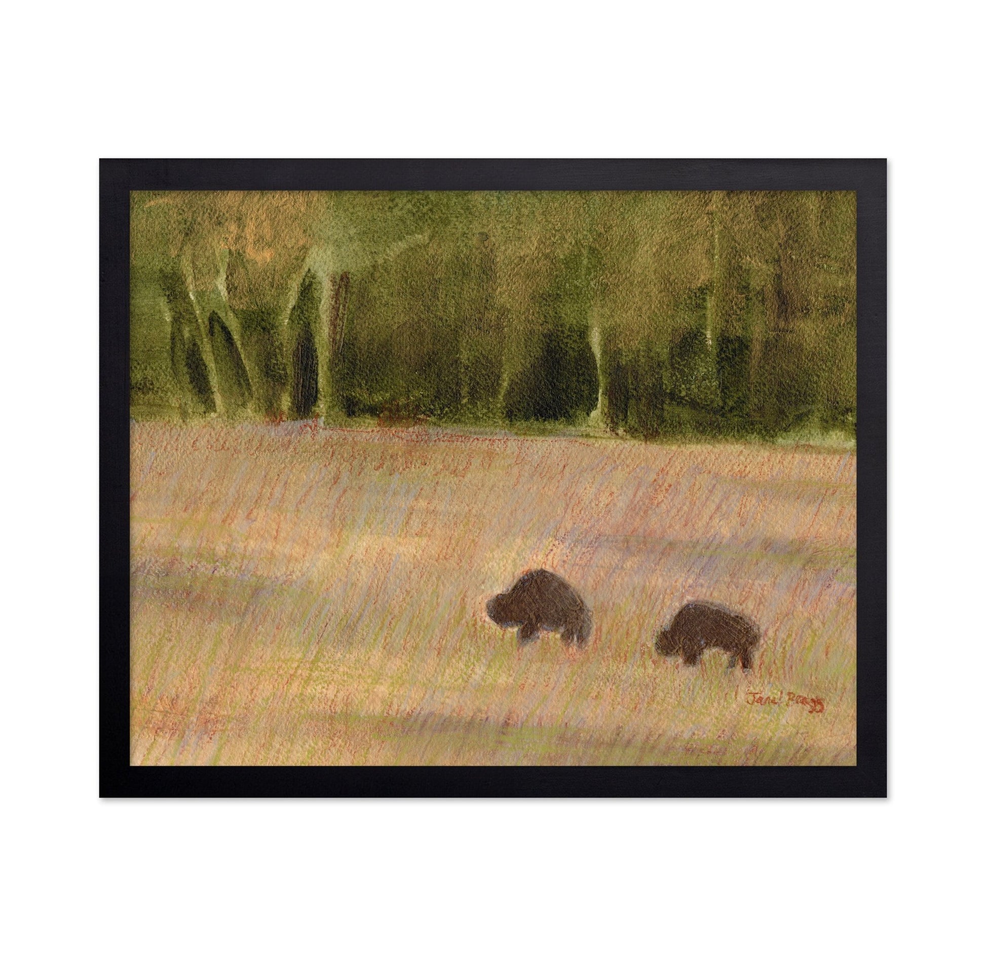 Buffalo Field Pair