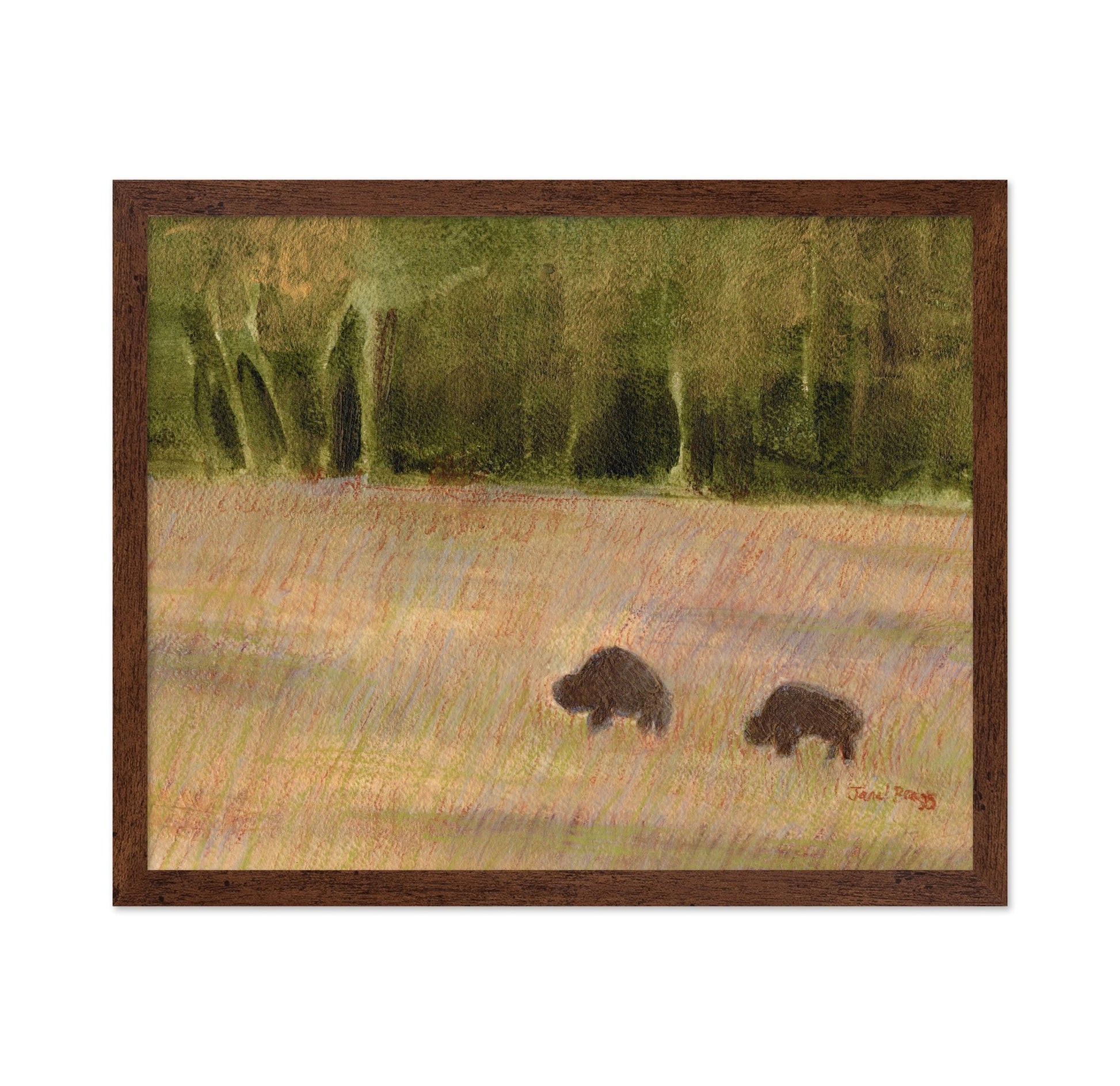 Buffalo Field Pair