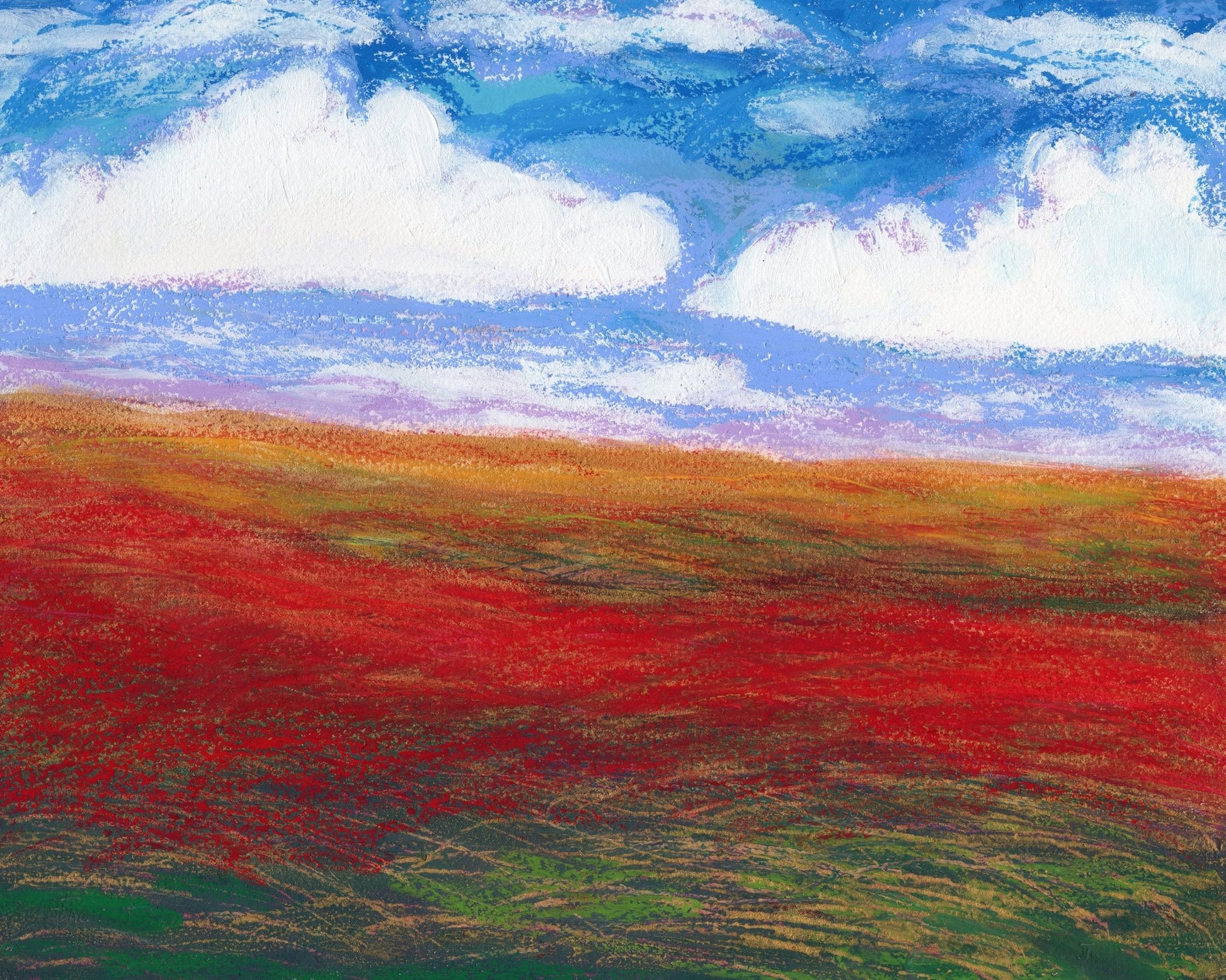 Poppy Field Horizon