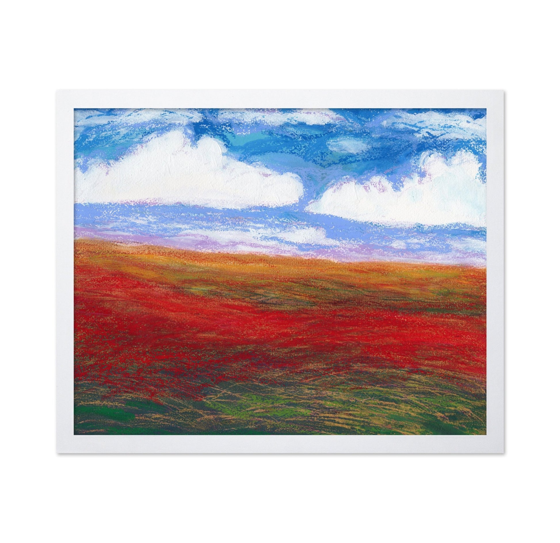 Poppy Field Horizon