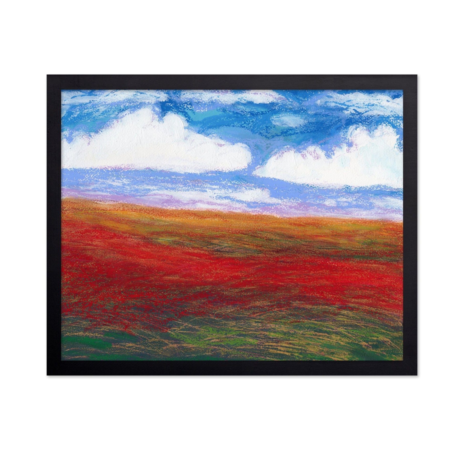 Poppy Field Horizon