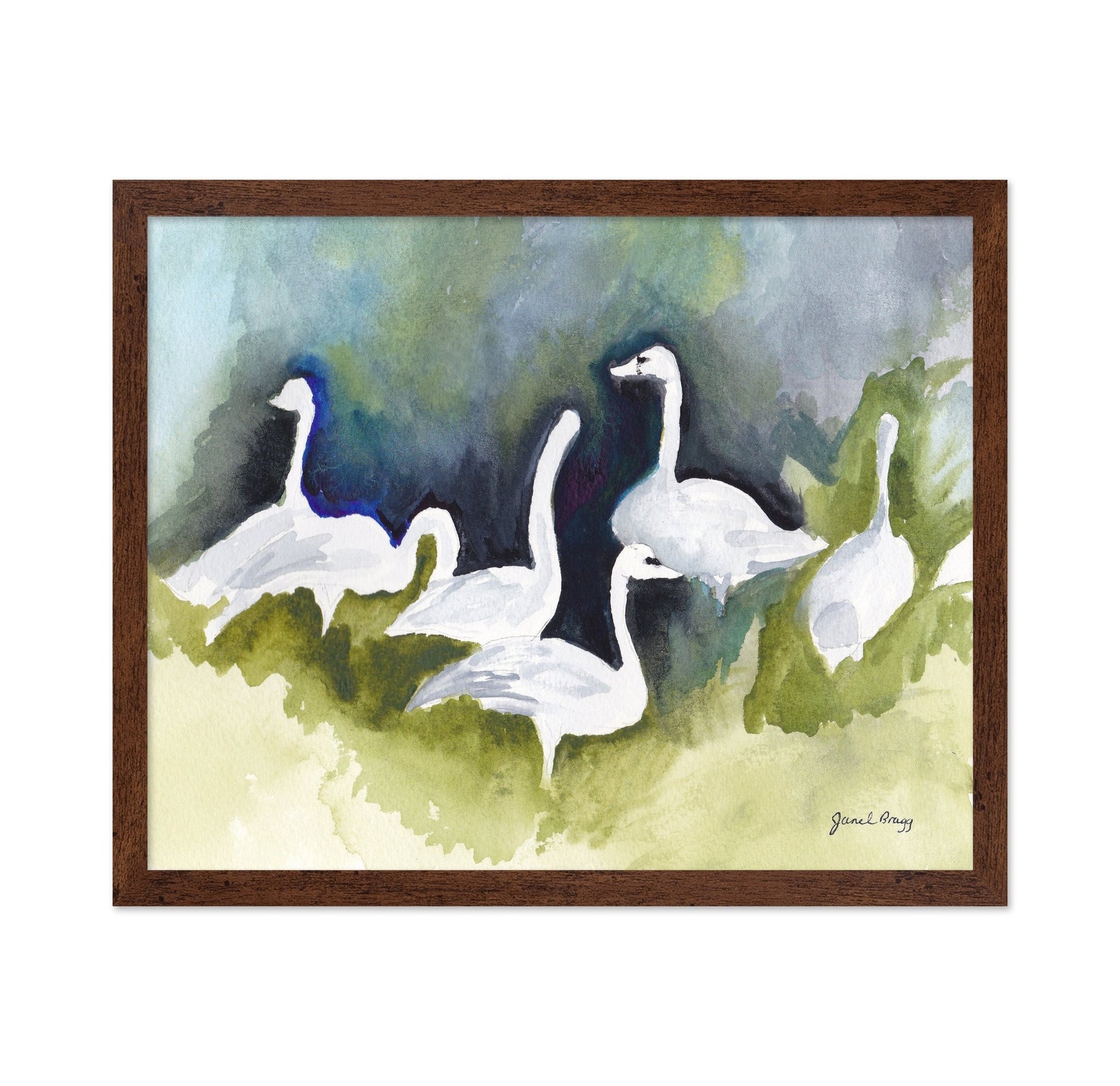 Skagit Swans
