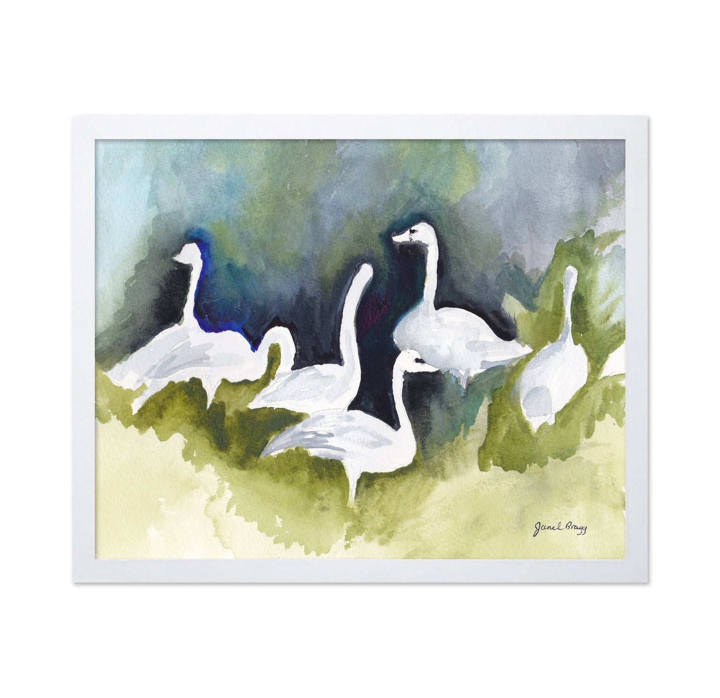 Skagit Swans