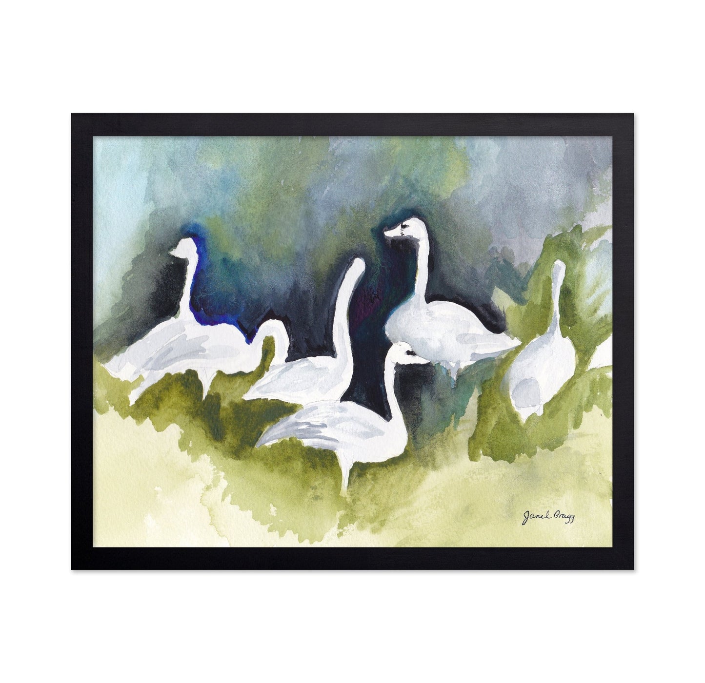 Skagit Swans