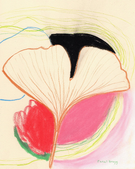Ginkgo Leaf Study