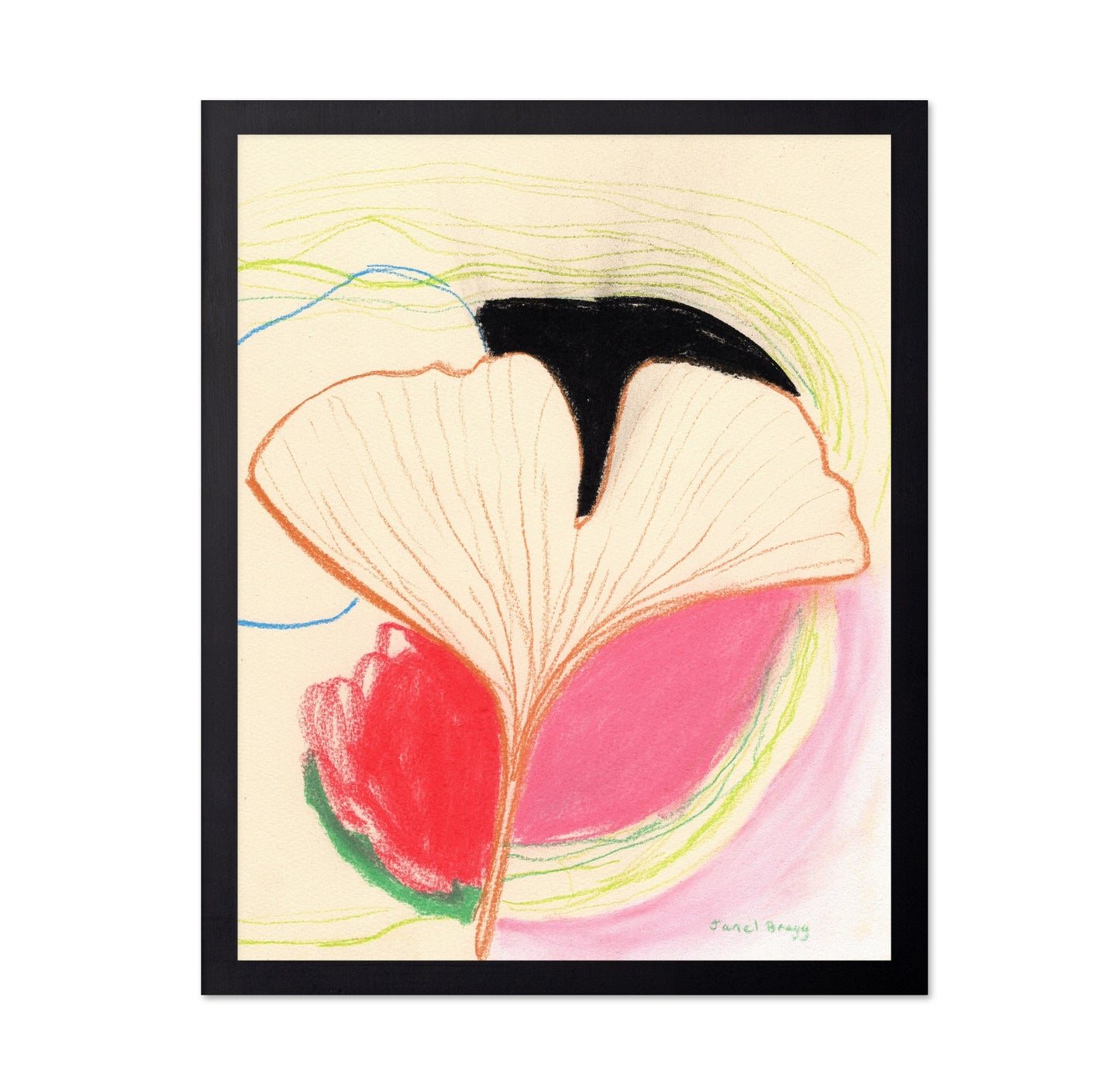 Ginkgo Leaf Study