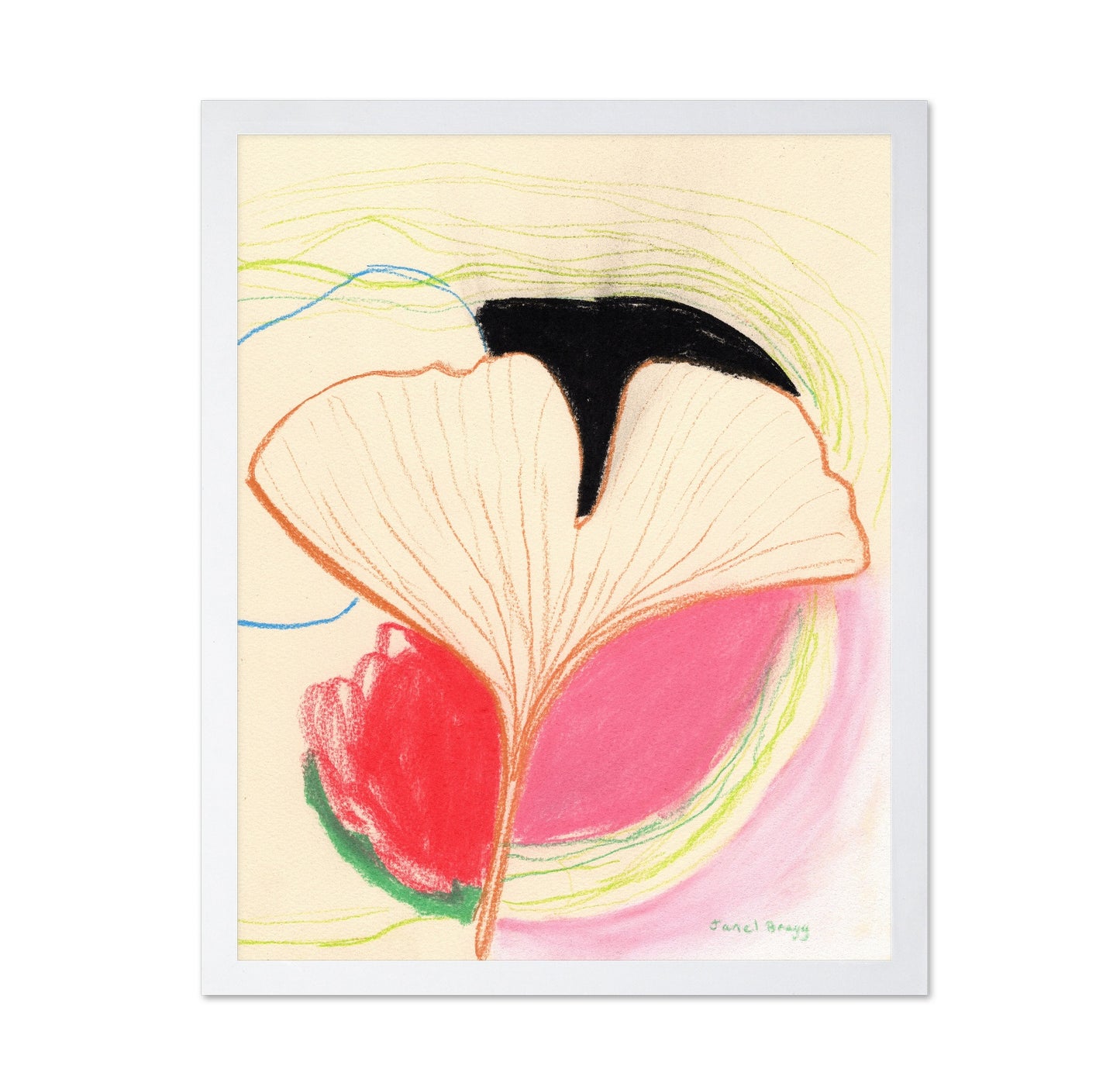 Ginkgo Leaf Study