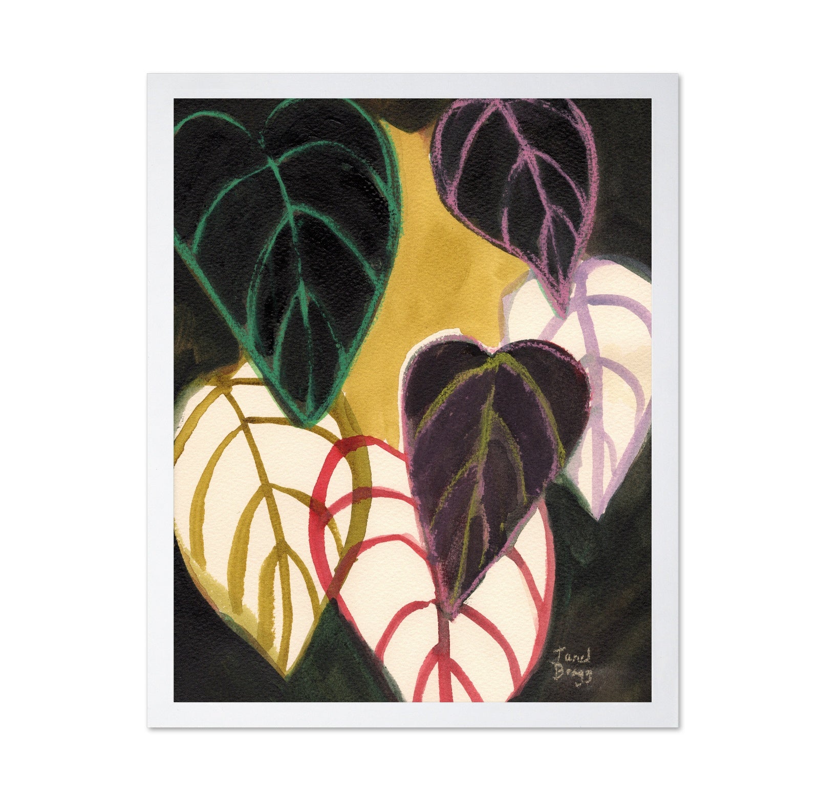 Chartreuse Leaf Study