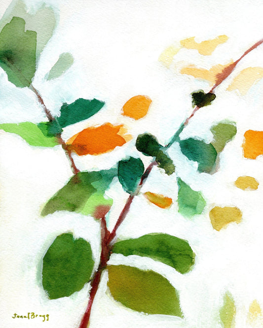 Courtyard Leaf Study