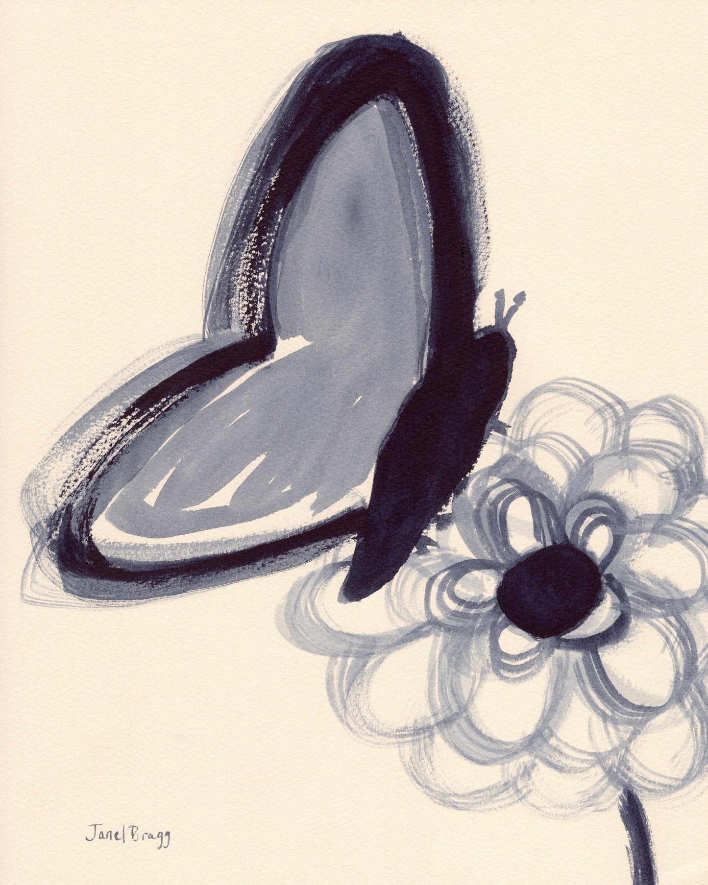 Indigo Butterfly Study
