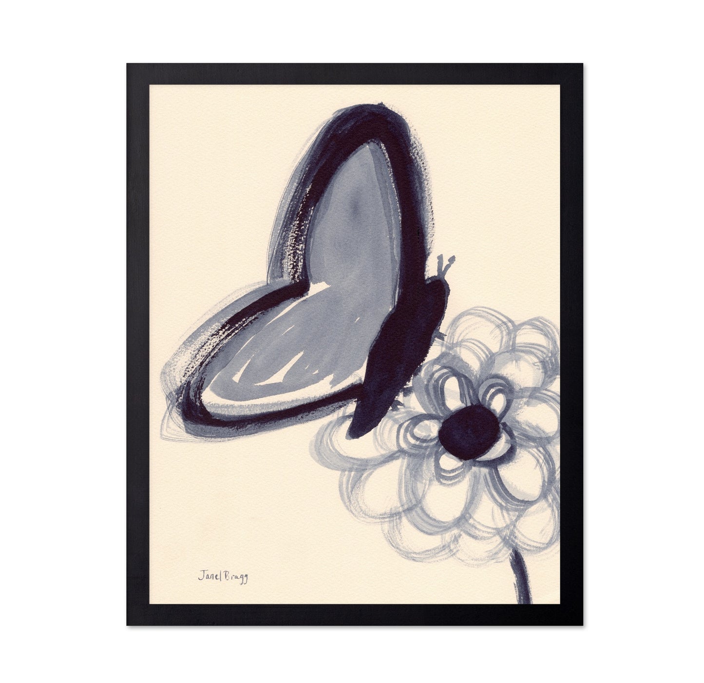 Indigo Butterfly Study