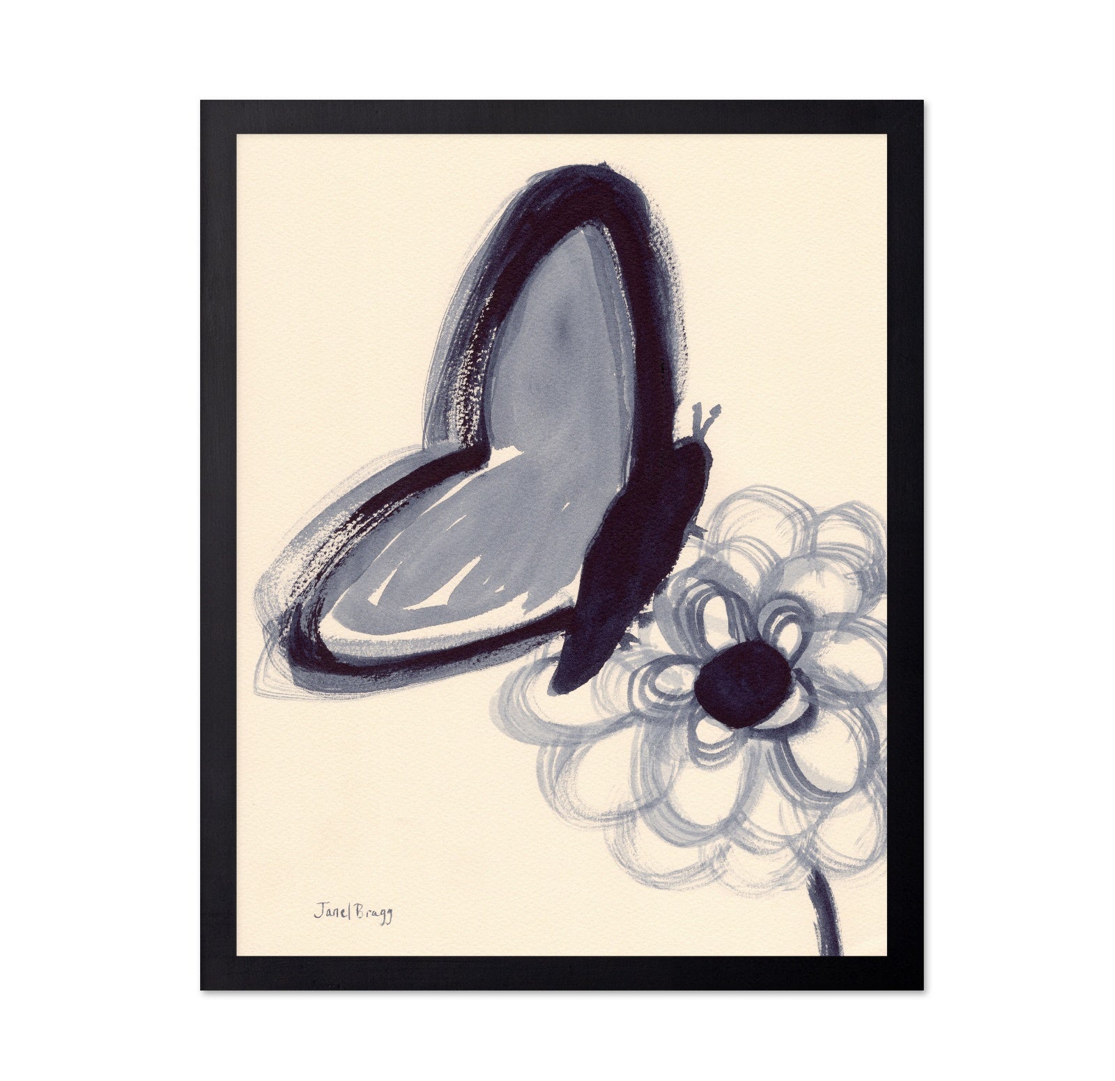 Indigo Butterfly Study