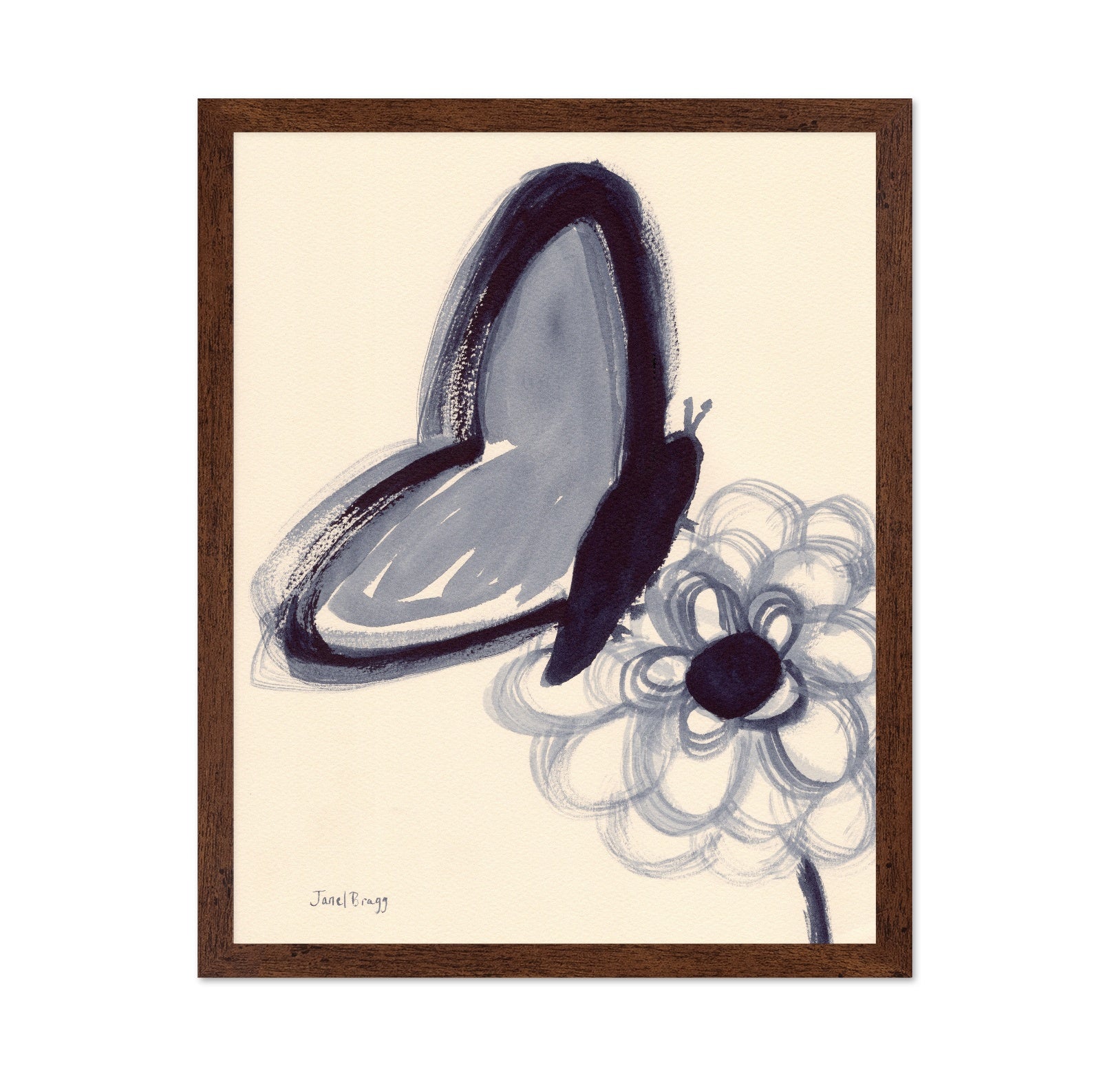 Indigo Butterfly Study