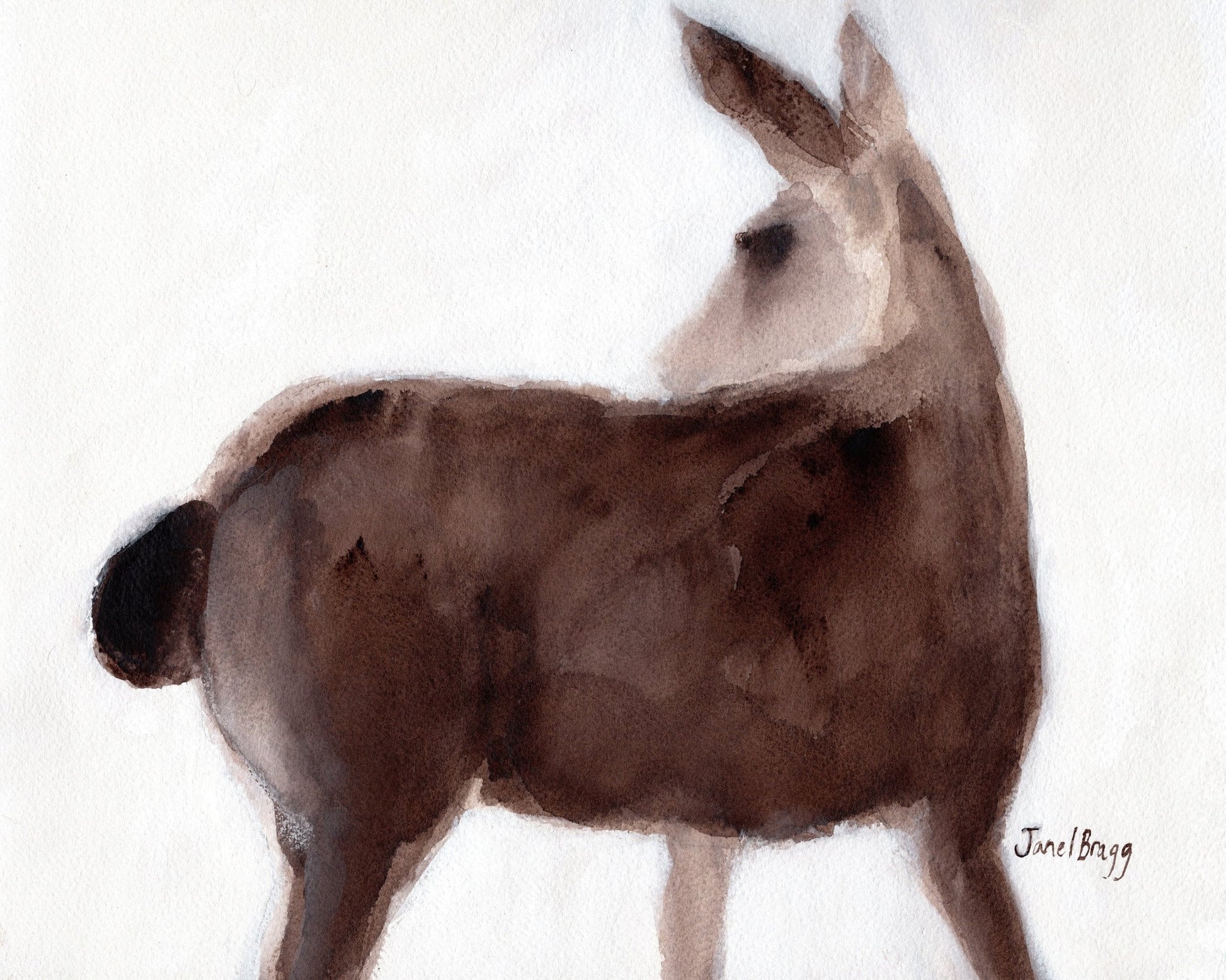 Creekside Deer Study