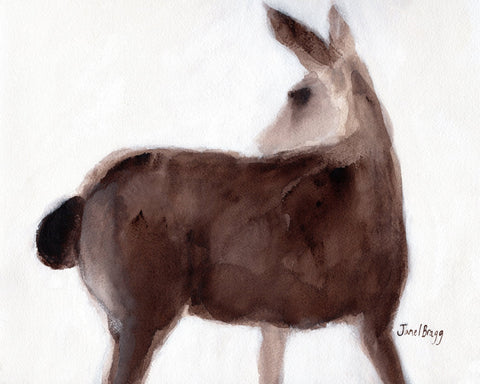 Creekside Deer Study