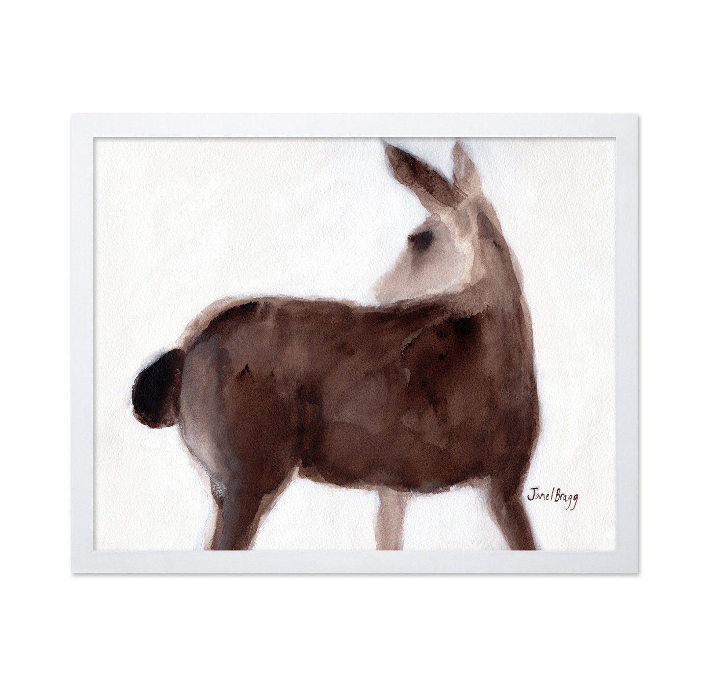 Creekside Deer Study