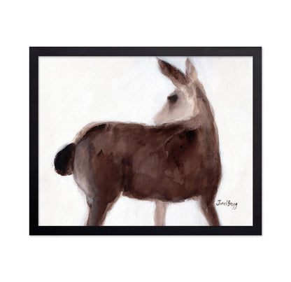 Creekside Deer Study