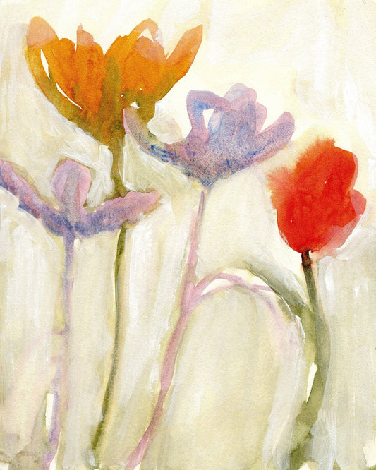 Soft Spring Tulips