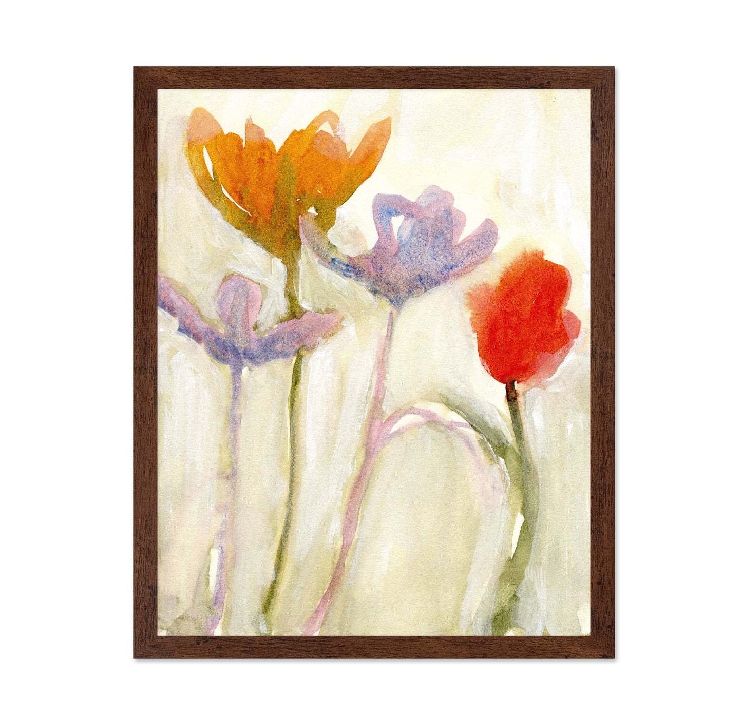 Soft Spring Tulips