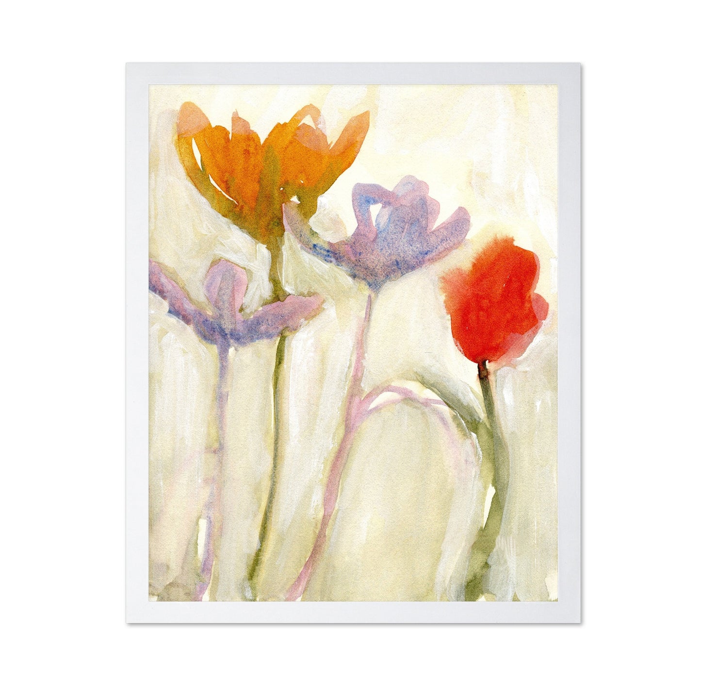 Soft Spring Tulips