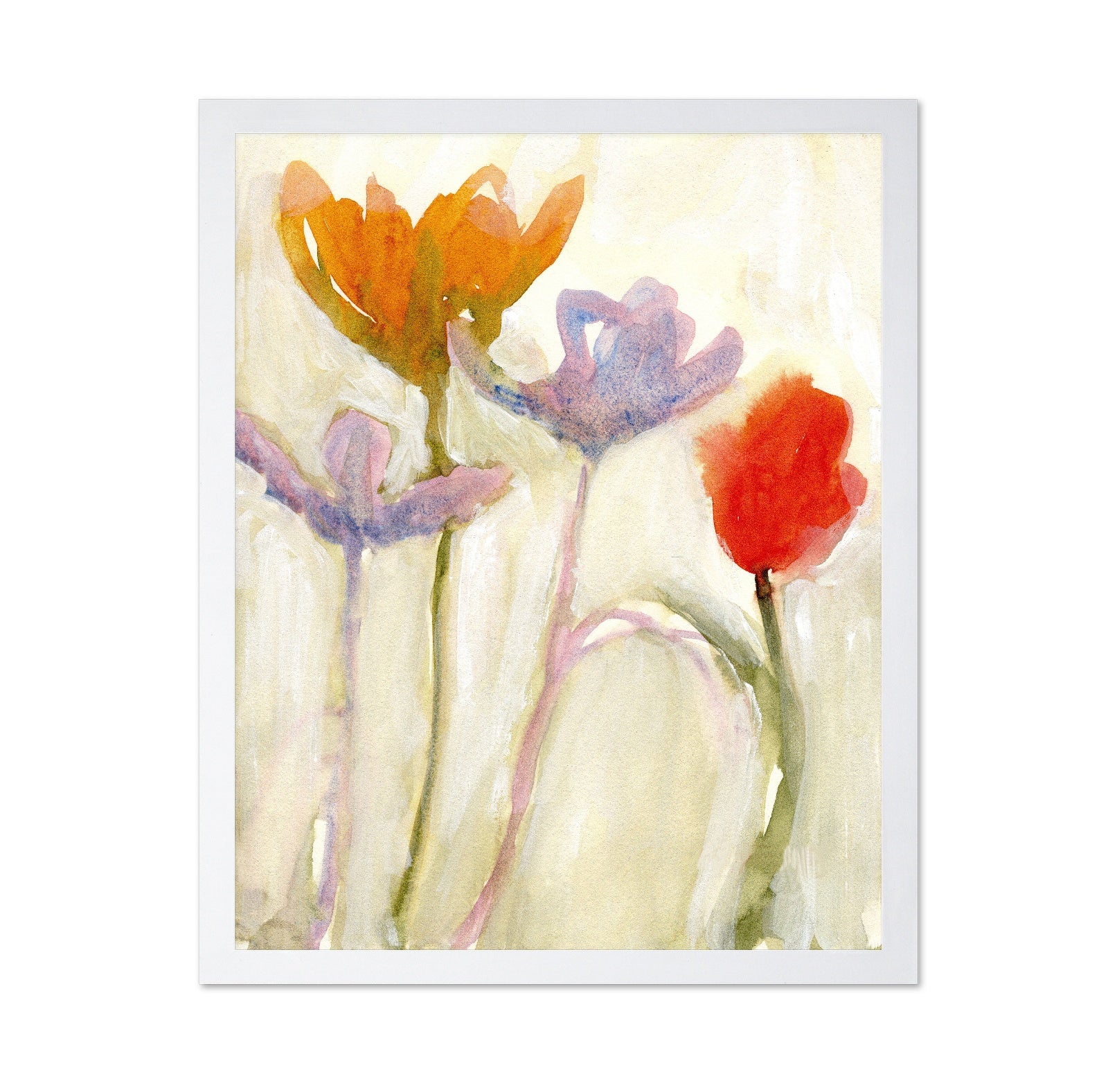 Soft Spring Tulips