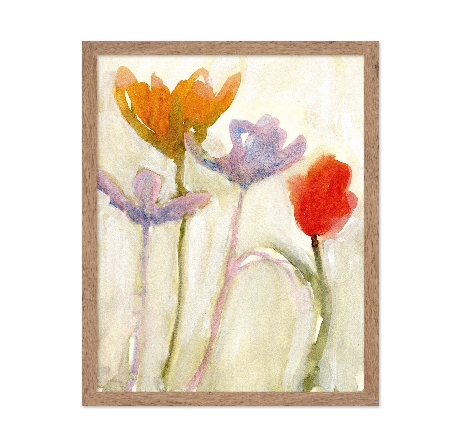 Soft Spring Tulips