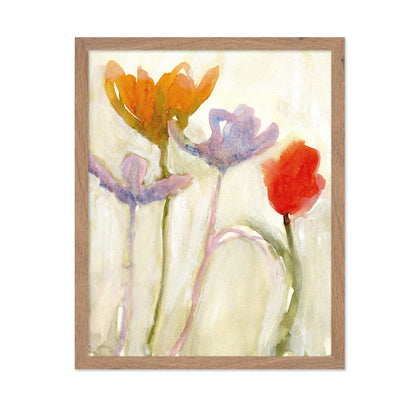Soft Spring Tulips