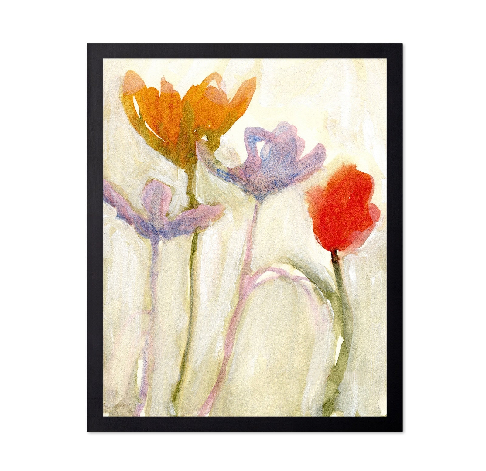 Soft Spring Tulips