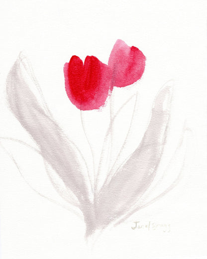 Red Tulips Sketch