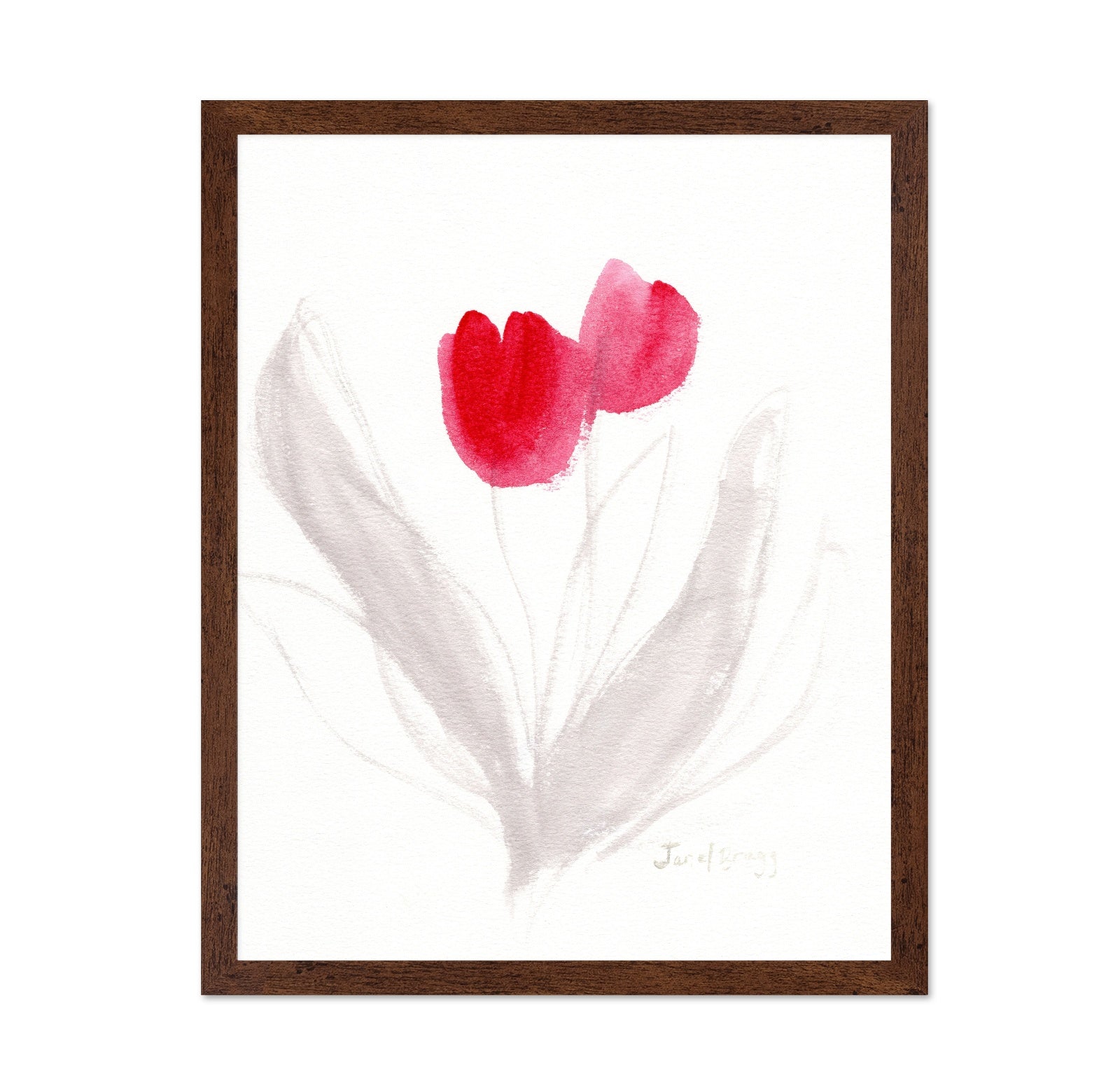 Red Tulips Sketch