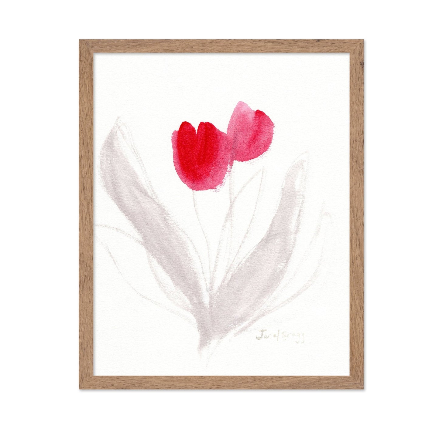 Red Tulips Sketch