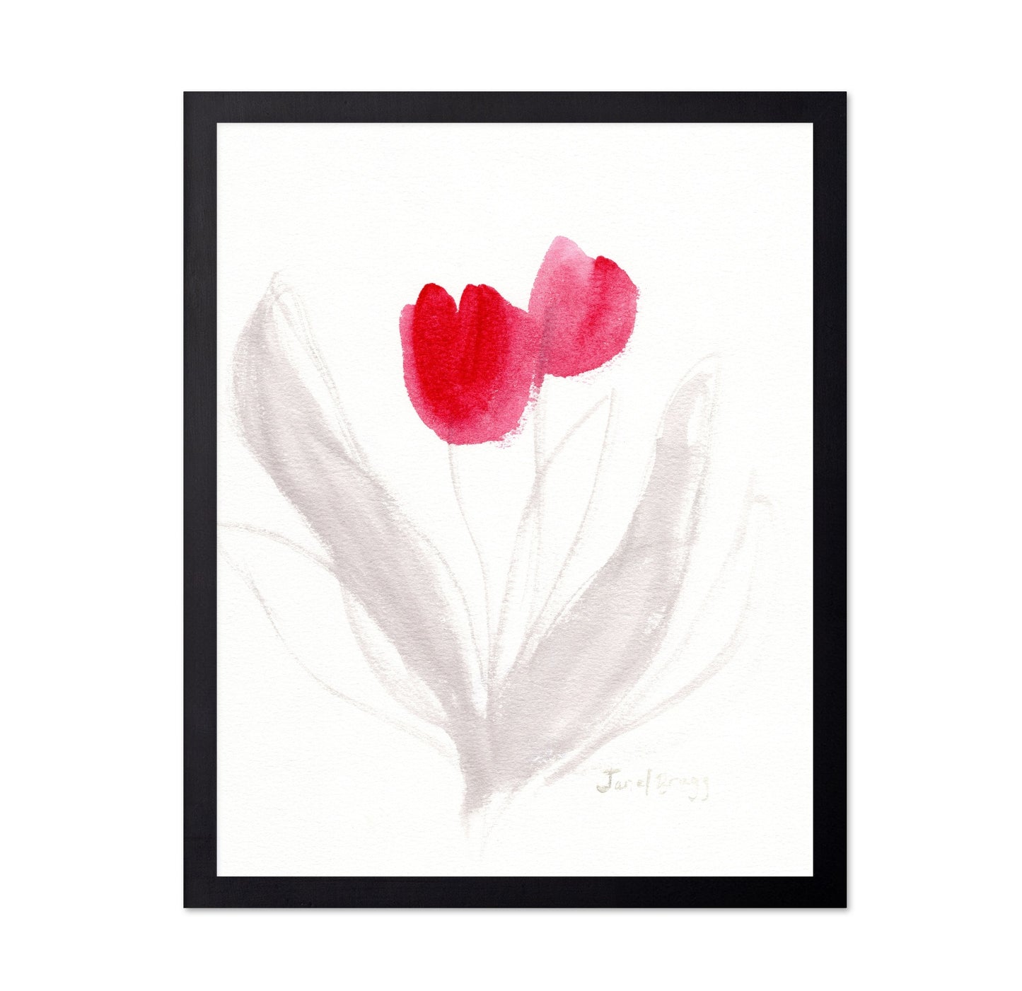 Red Tulips Sketch
