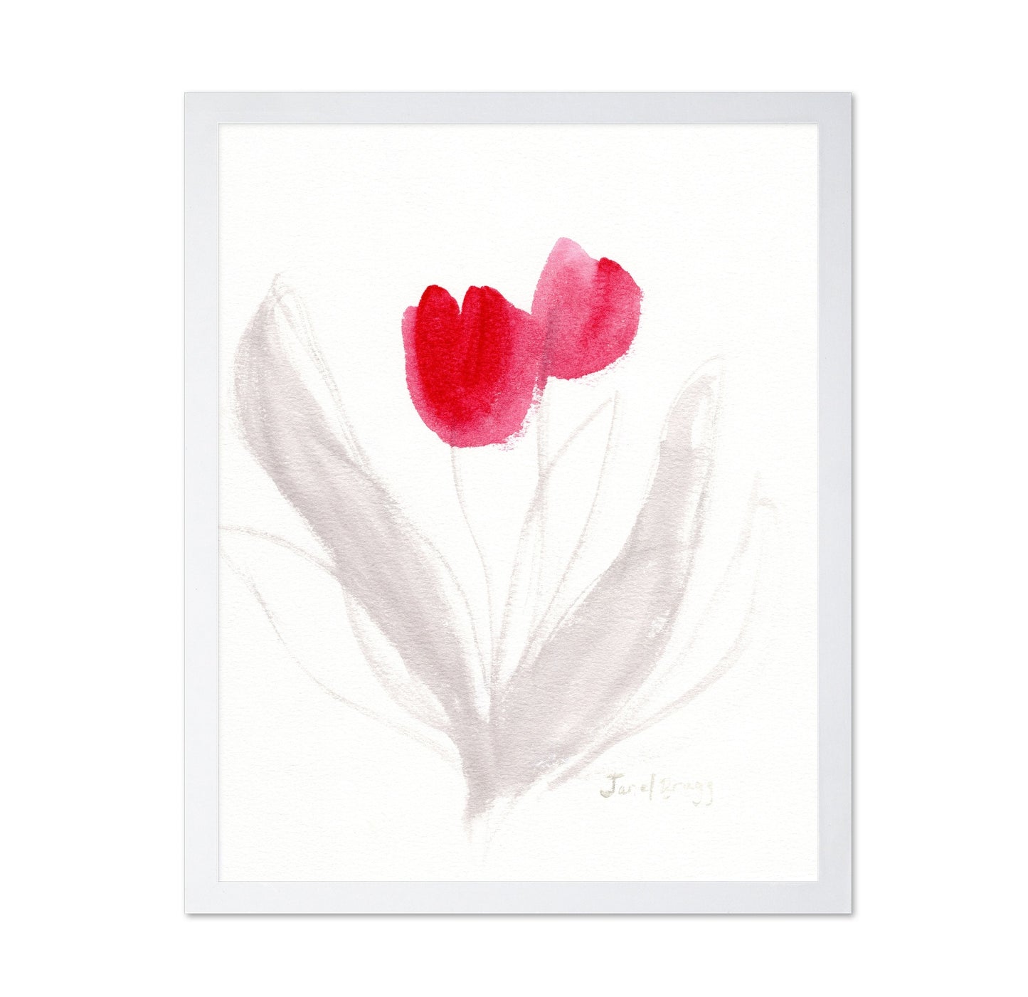 Red Tulips Sketch
