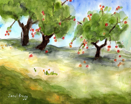 Apple Orchard Path
