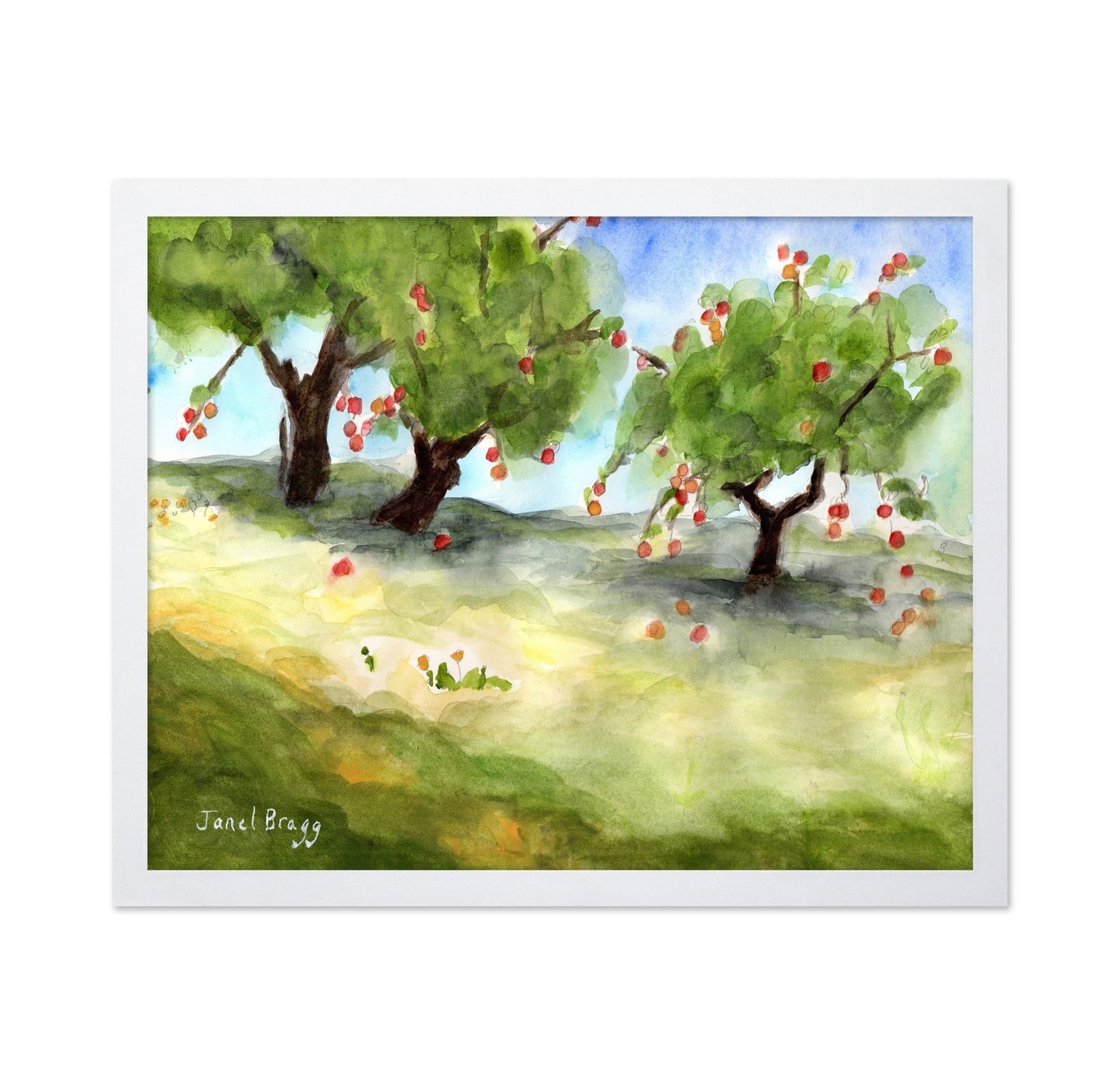 Apple Orchard Path