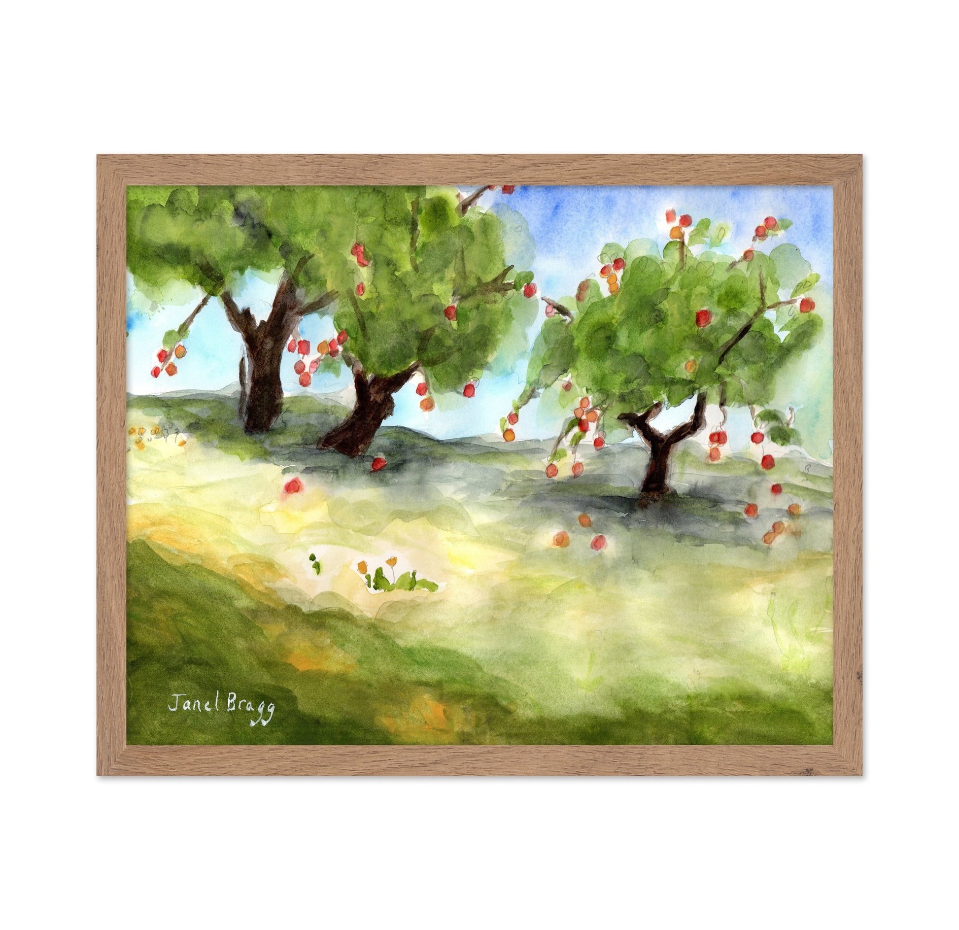 Apple Orchard Path