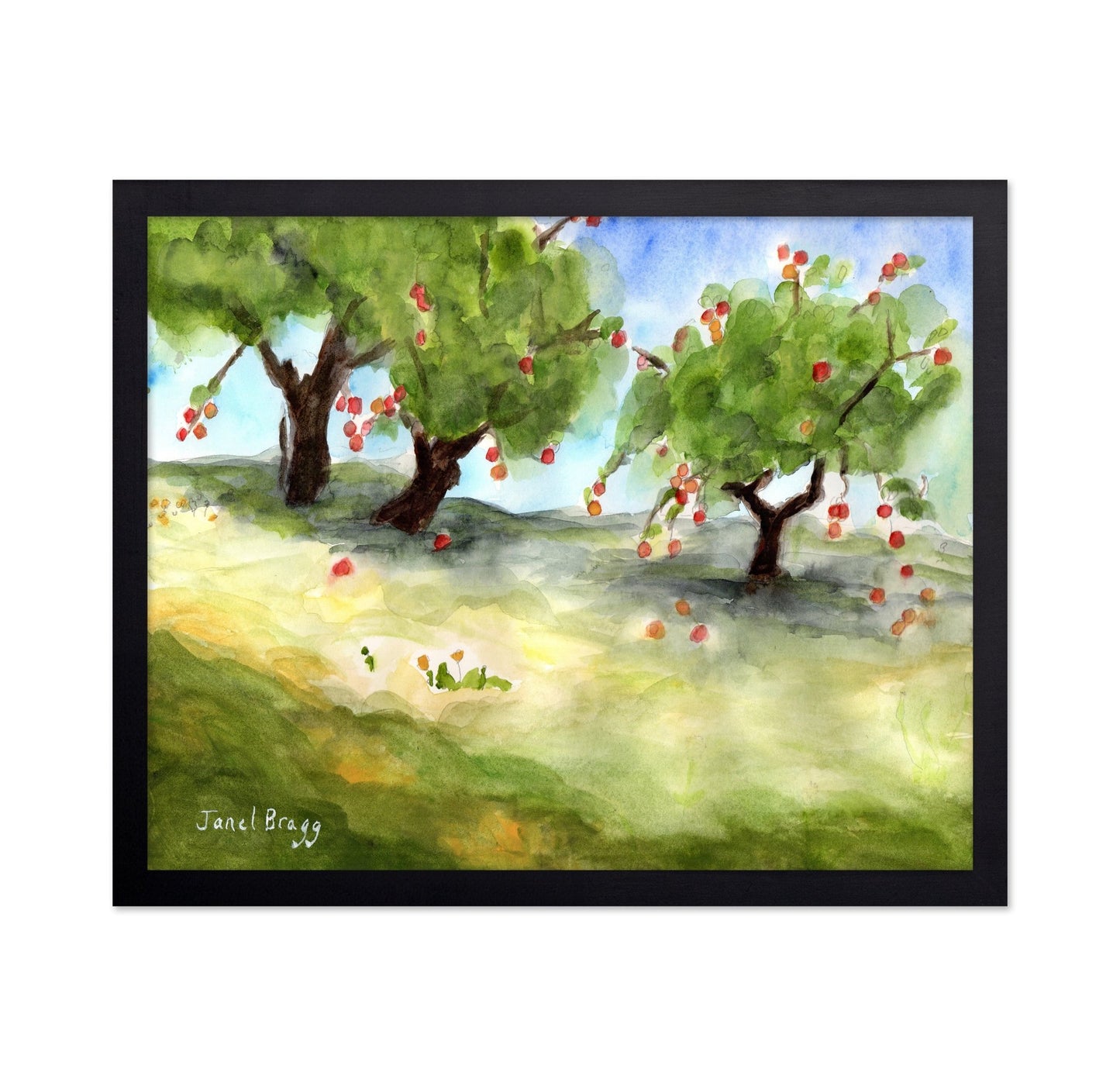 Apple Orchard Path