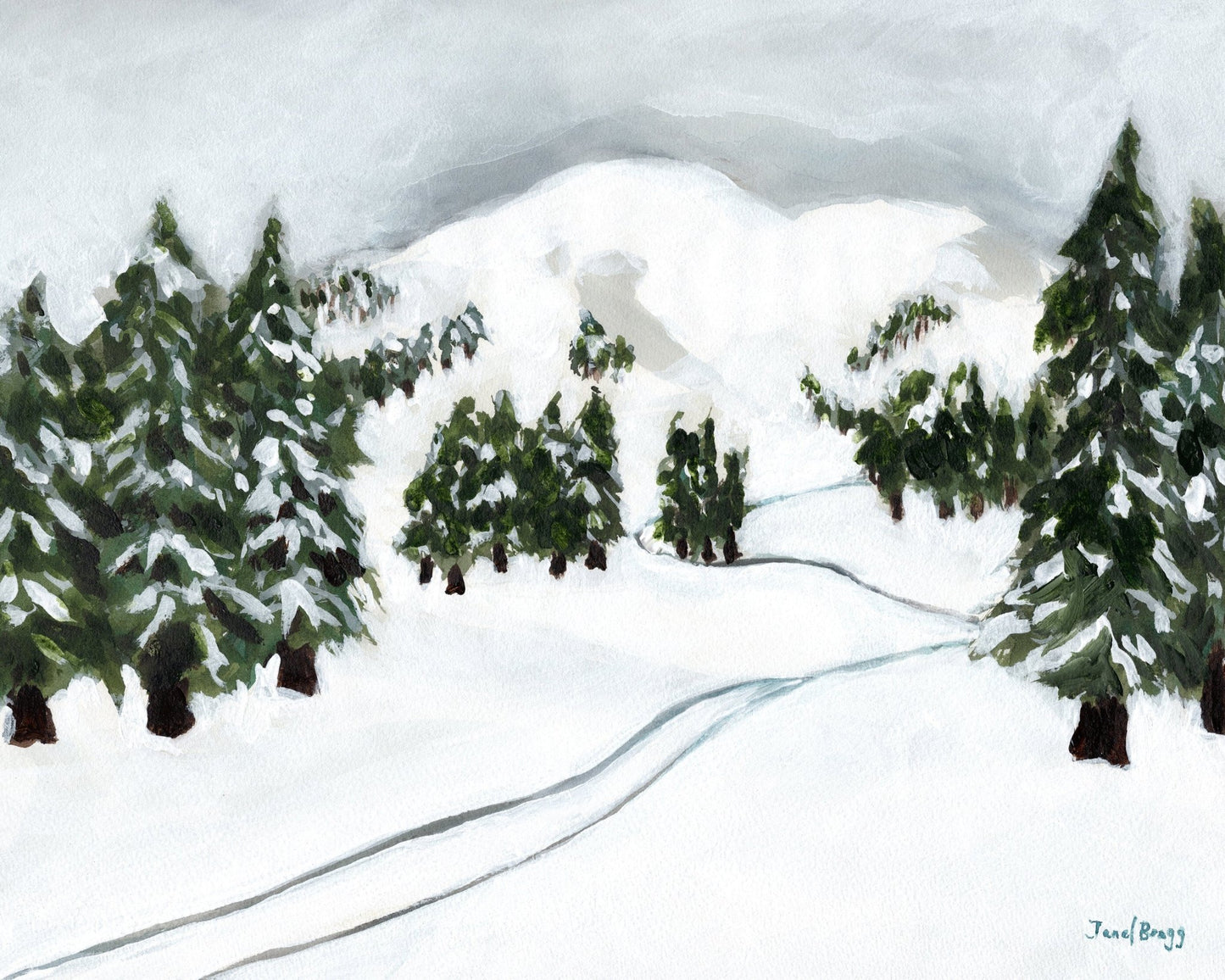 Snowy Ski Trail