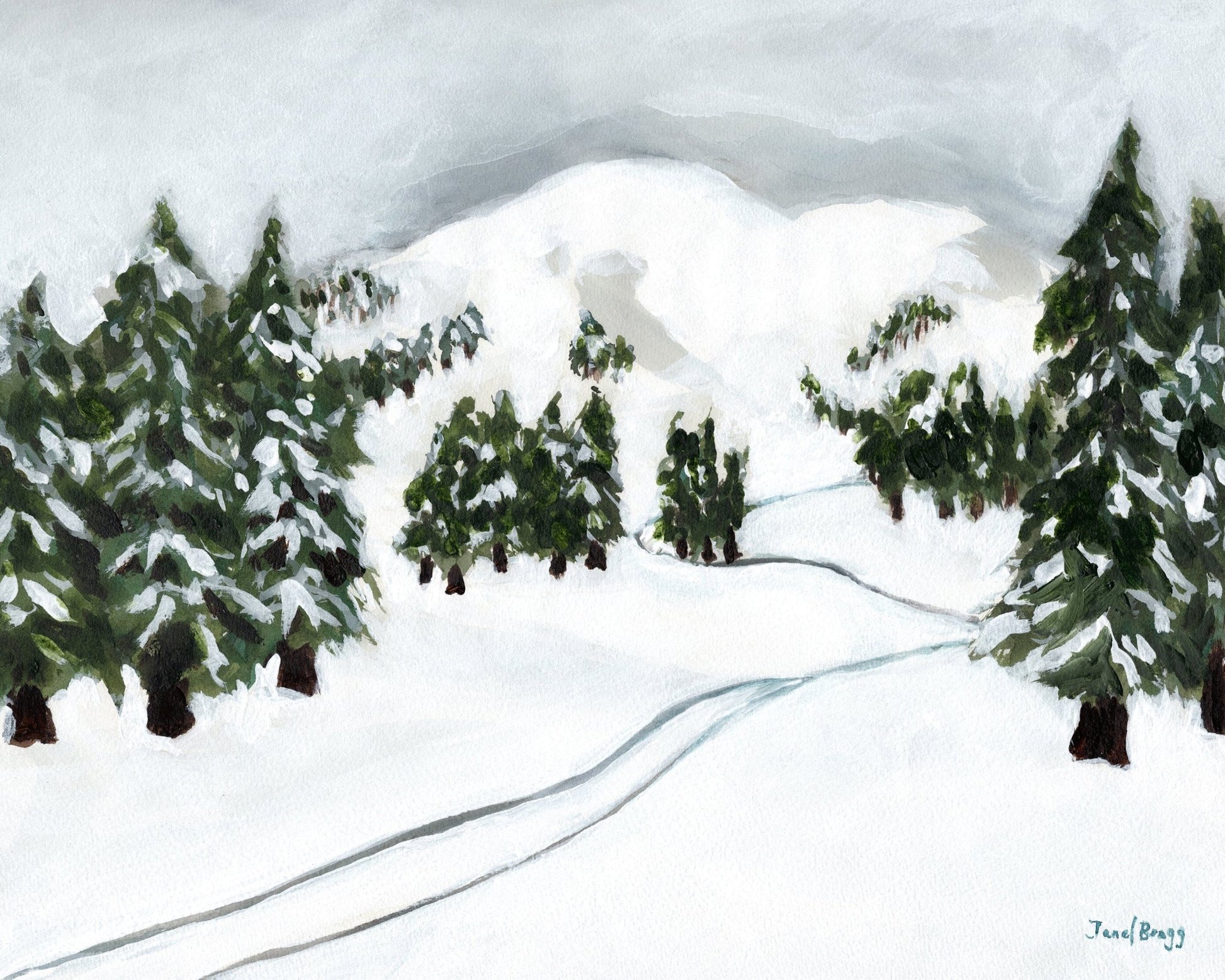 Snowy Ski Trail
