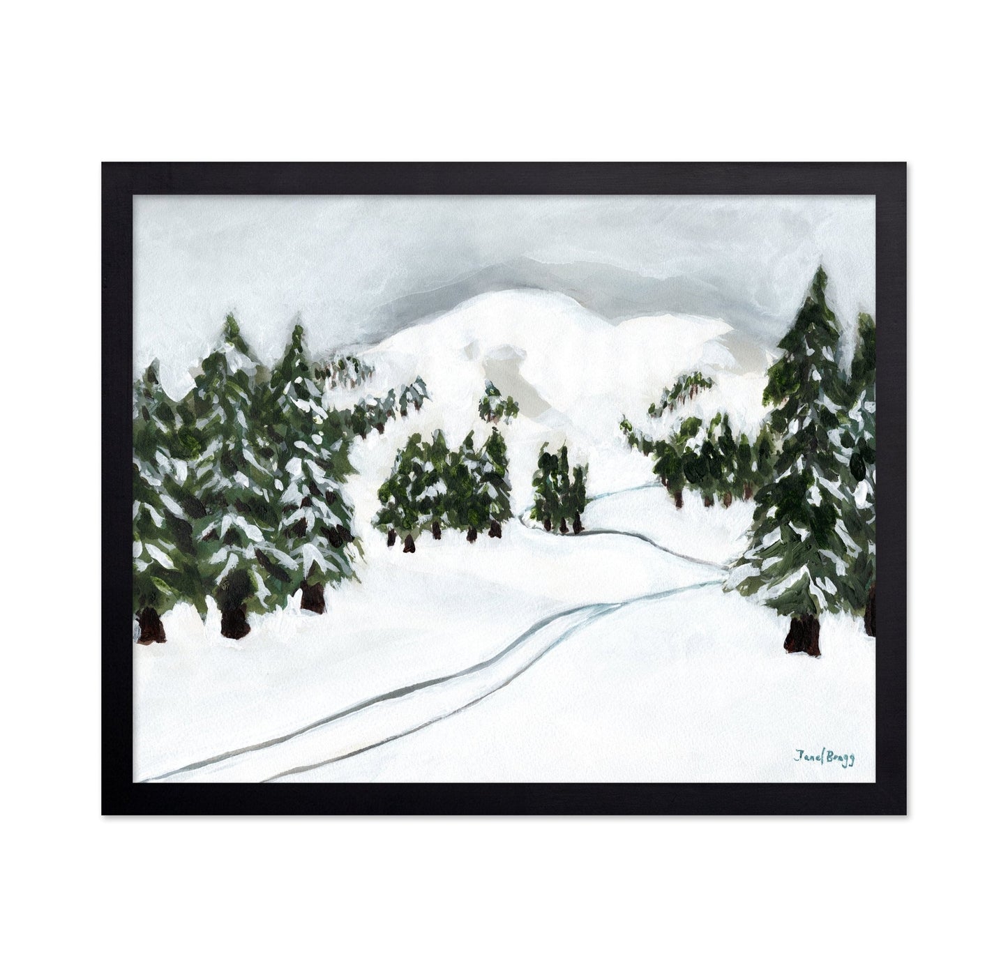 Snowy Ski Trail