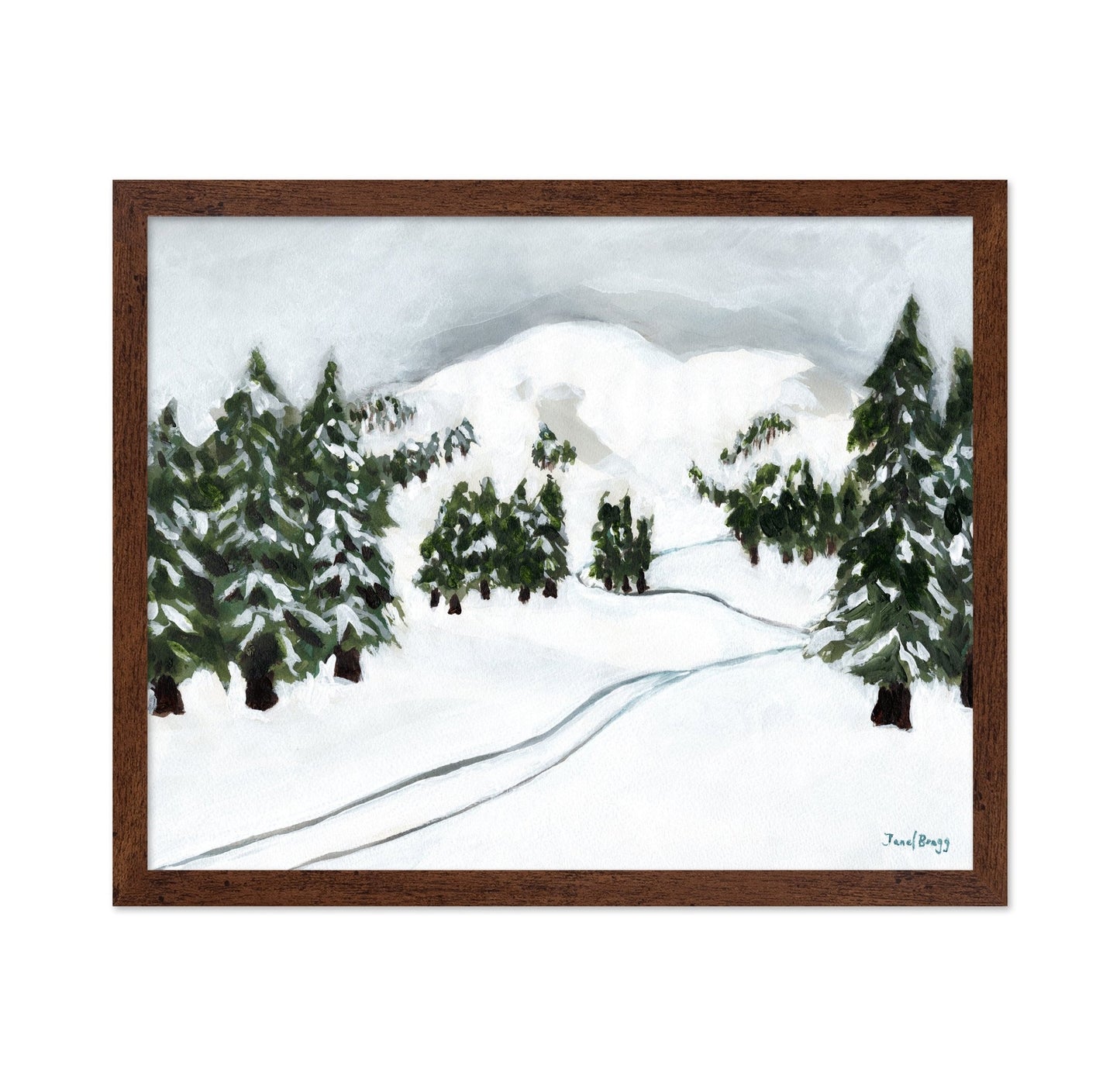 Snowy Ski Trail