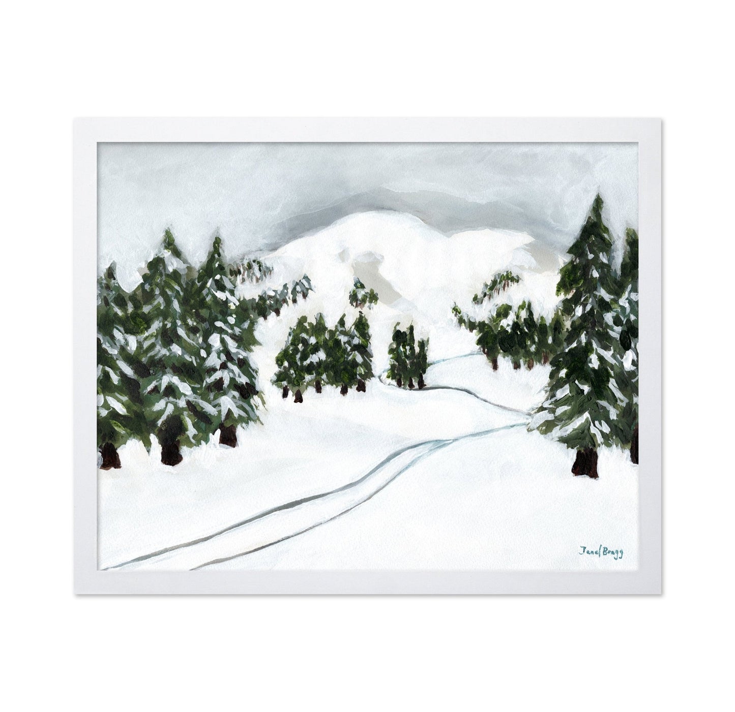 Snowy Ski Trail