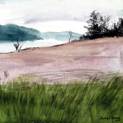Island Meadow View