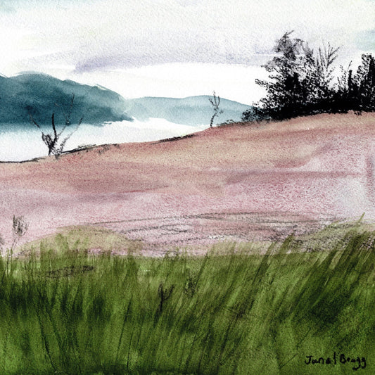Island Meadow View