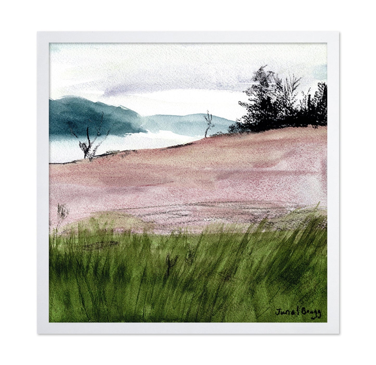Island Meadow View
