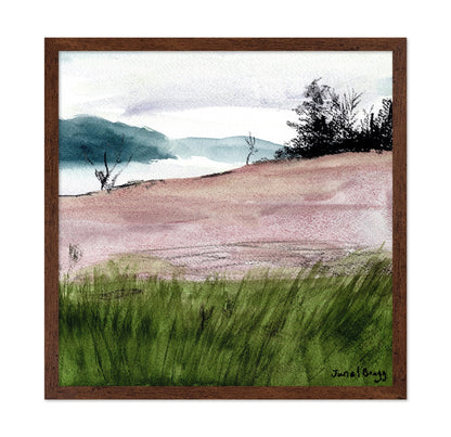 Island Meadow View