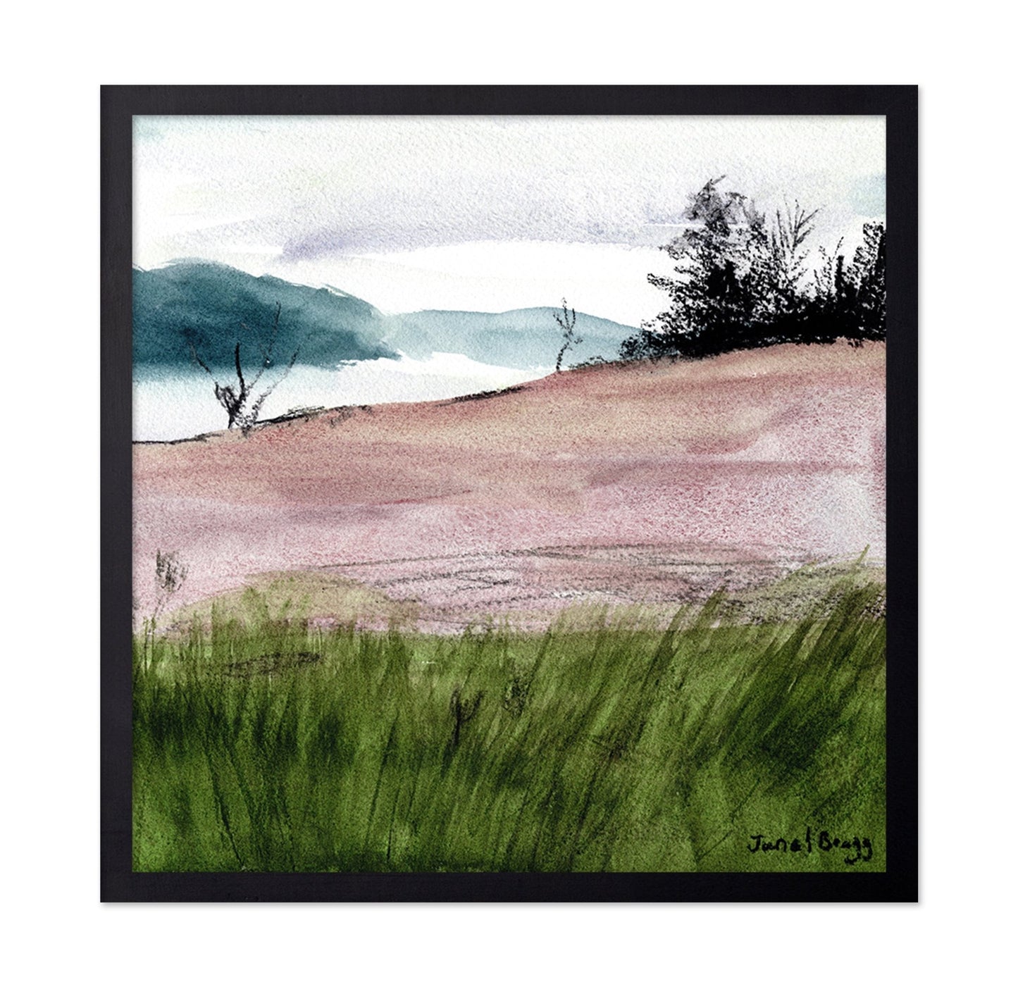 Island Meadow View