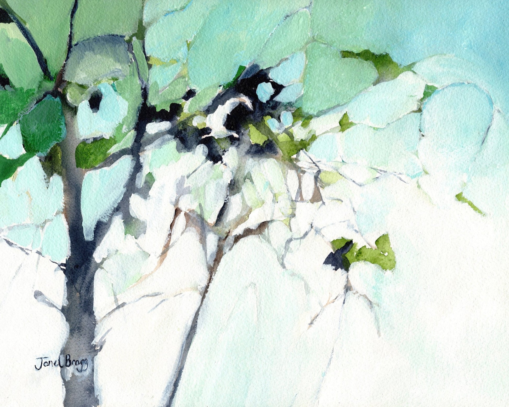 Soft Canopy Light