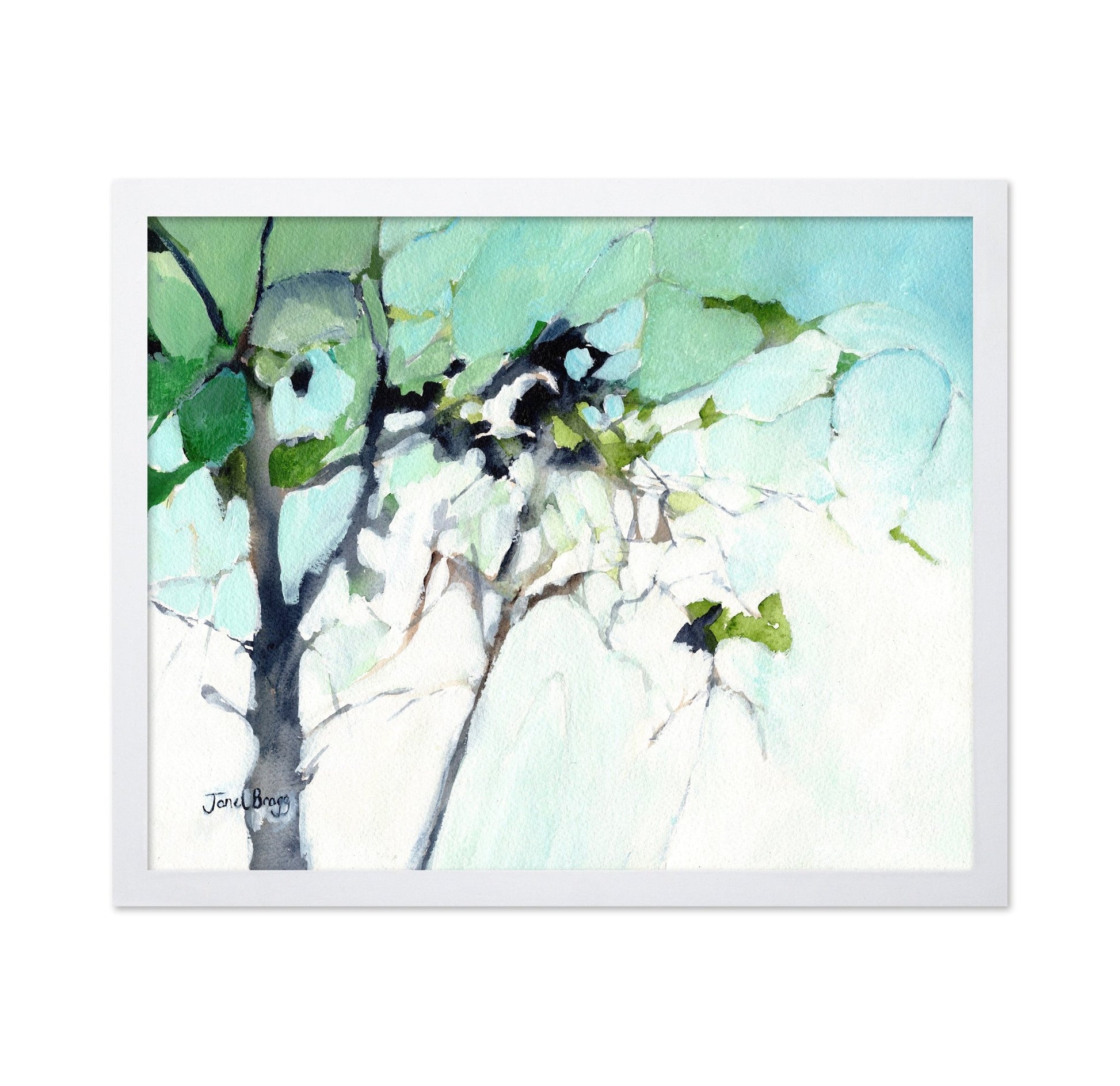 Soft Canopy Light